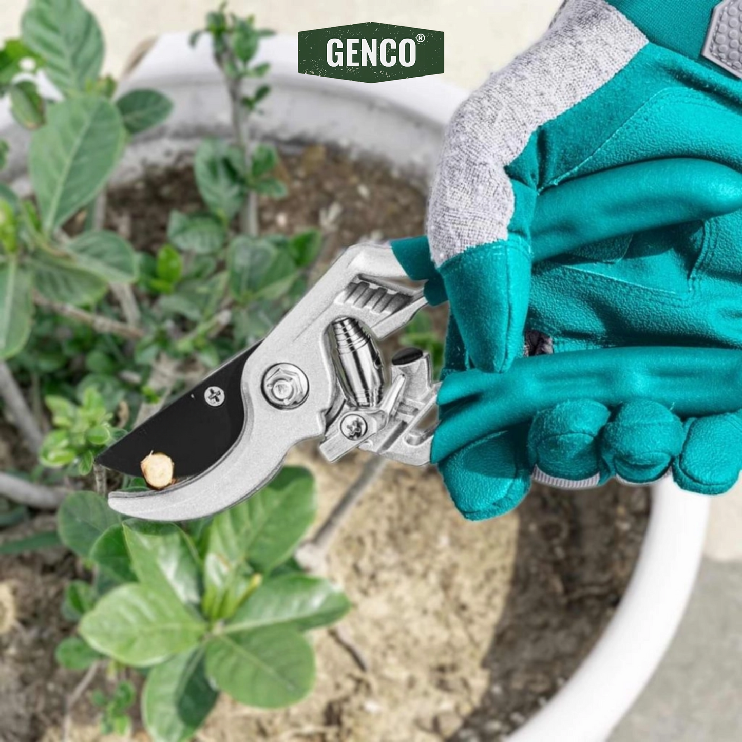 Pruning Shear