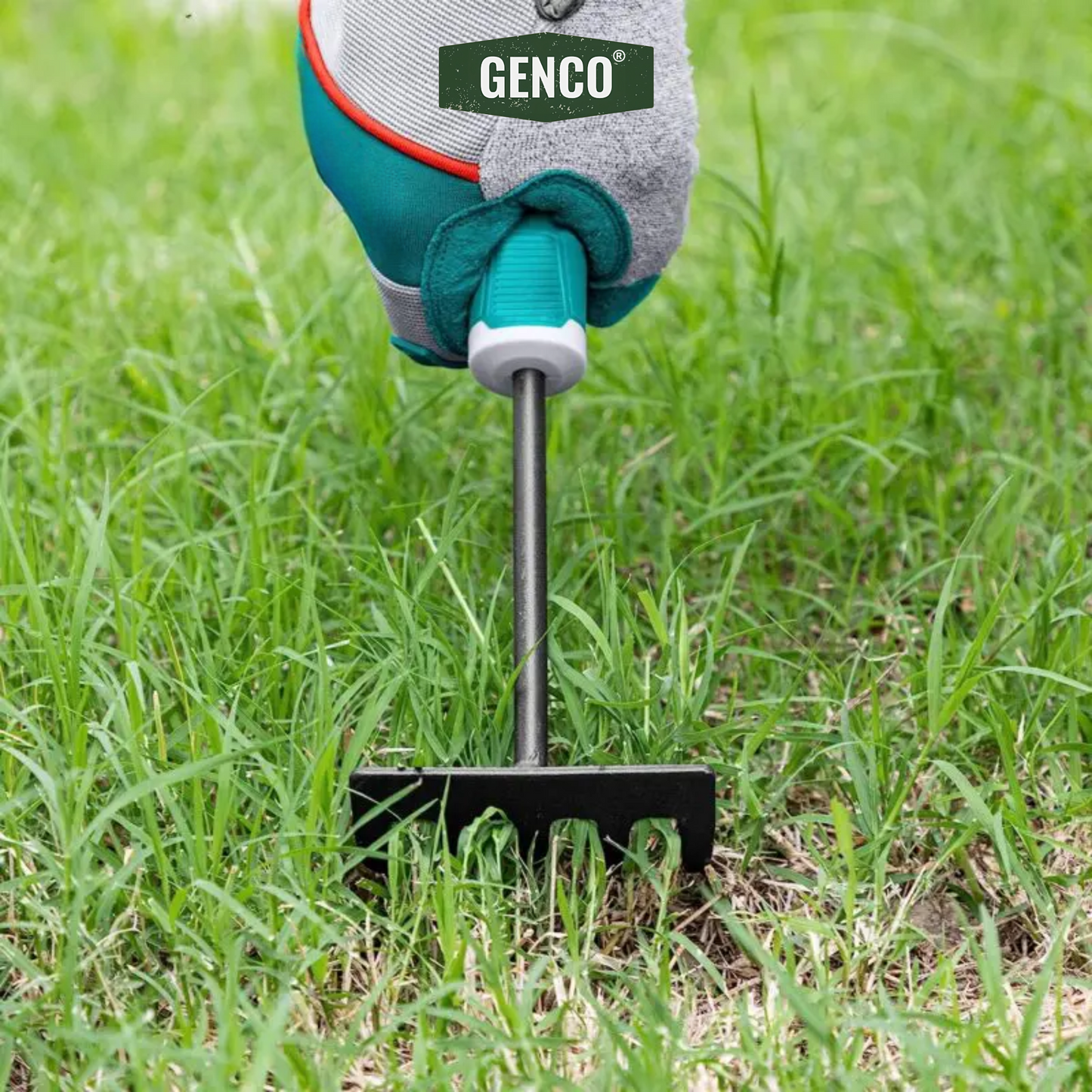 Mini Rake