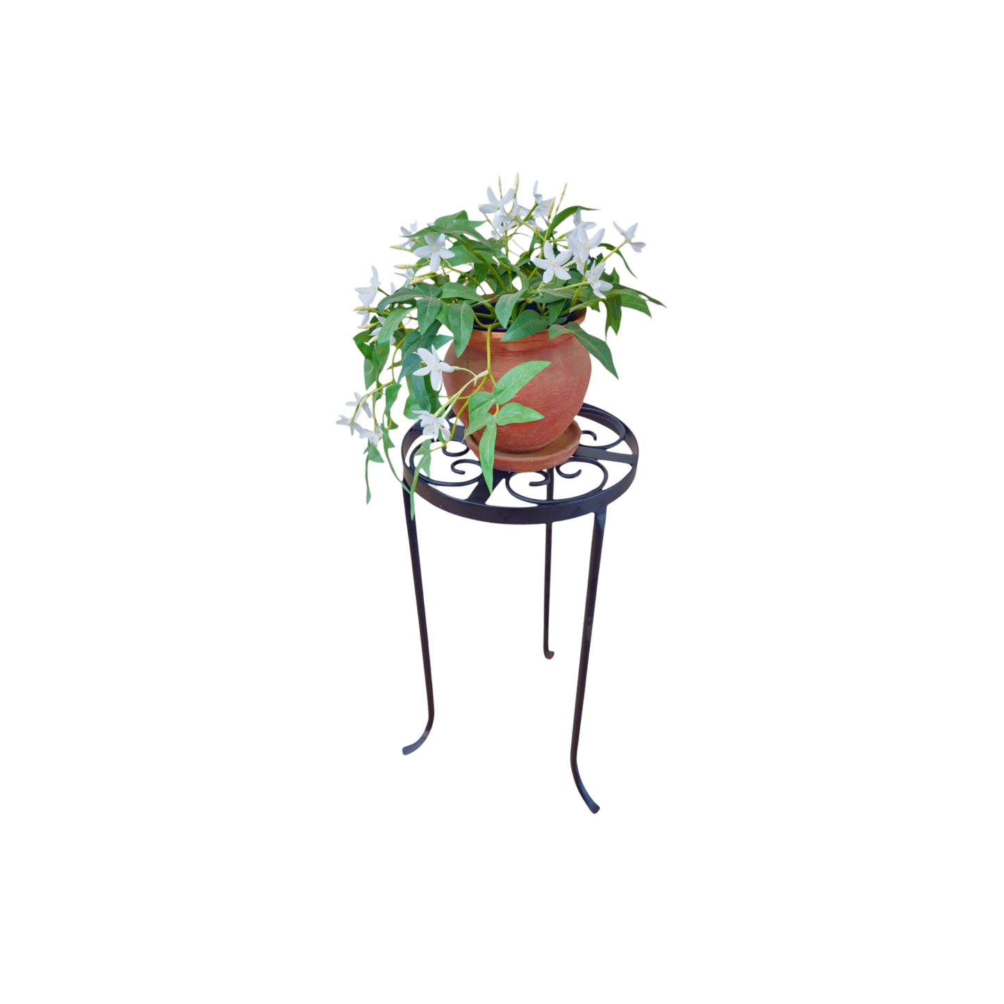 Verde Roma | Plant Table - Large