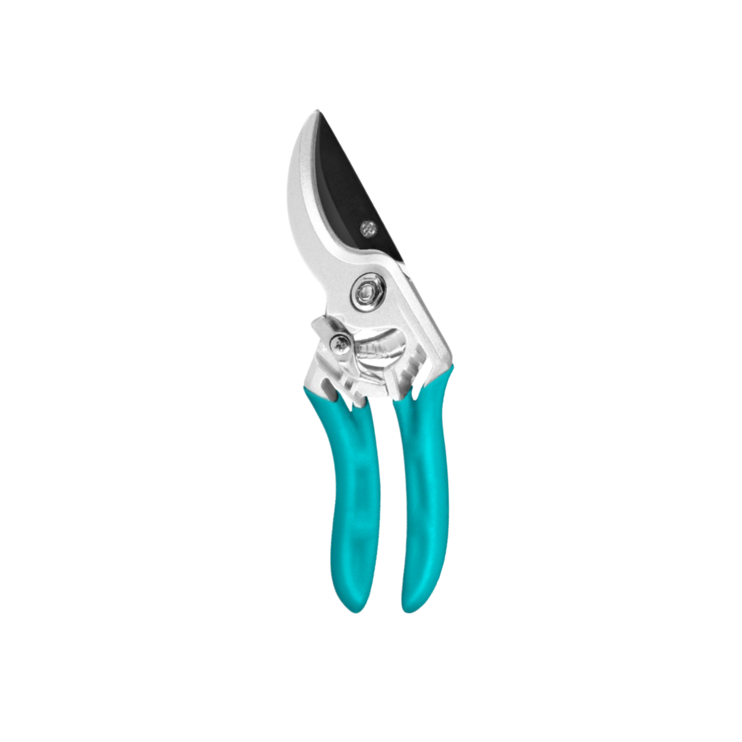 Pruning Shear
