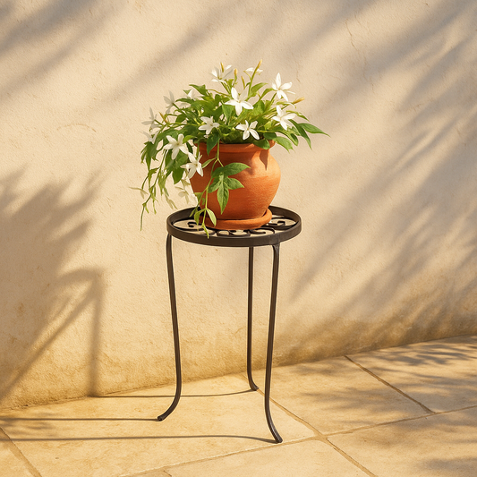 Verde Roma | Plant Table – Small