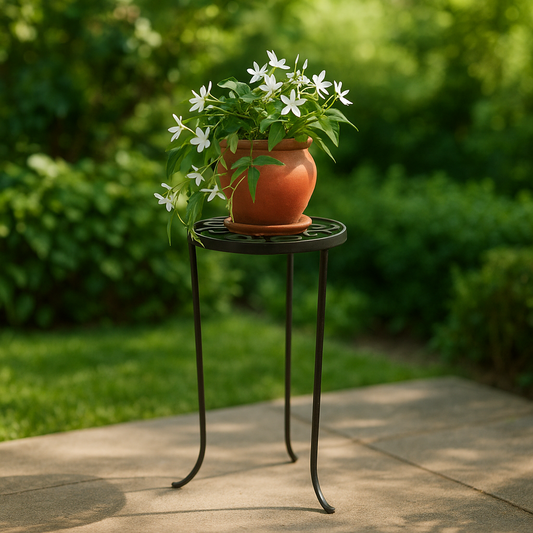 Verde Roma | Plant Table - Medium