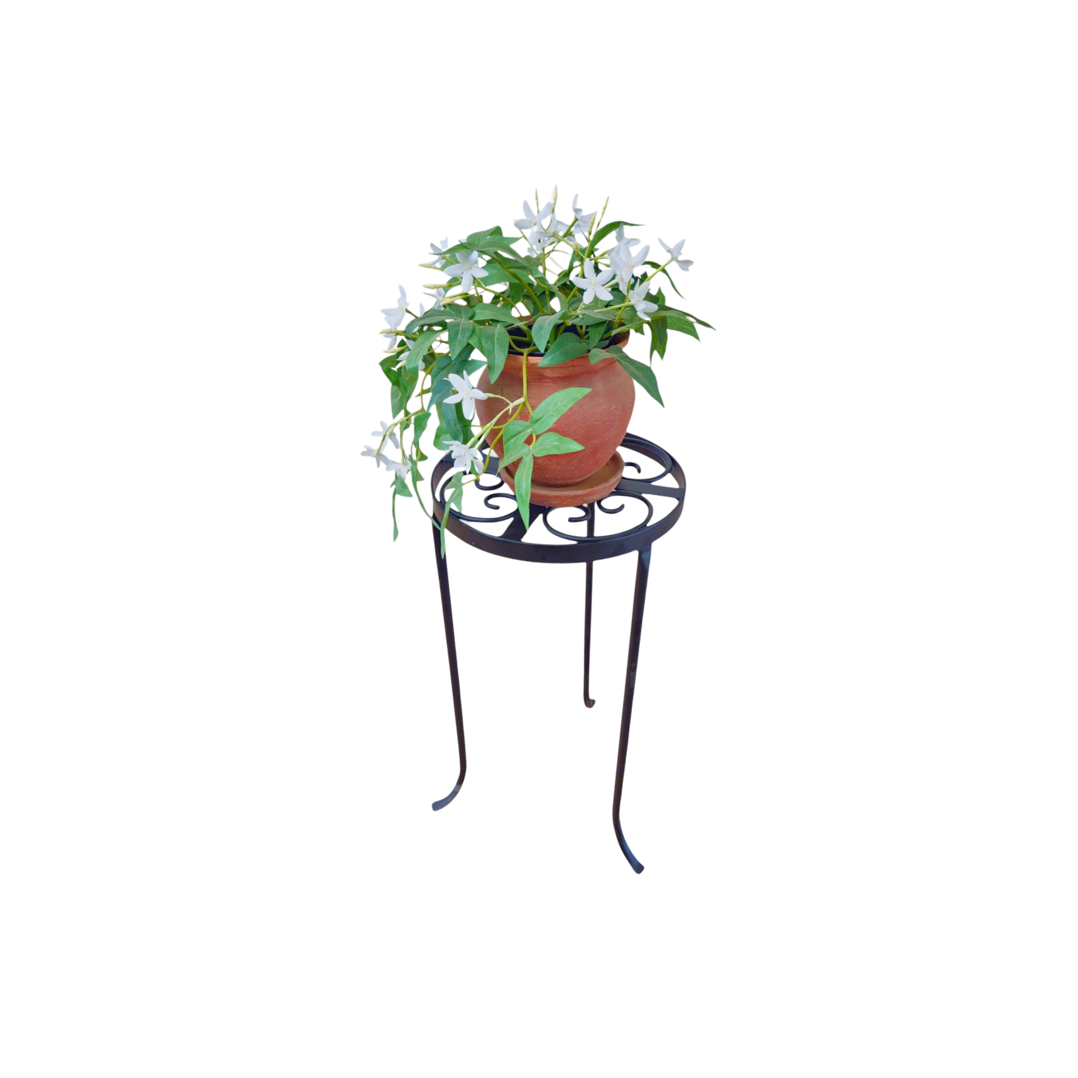 Verde Roma | Plant Table – Small