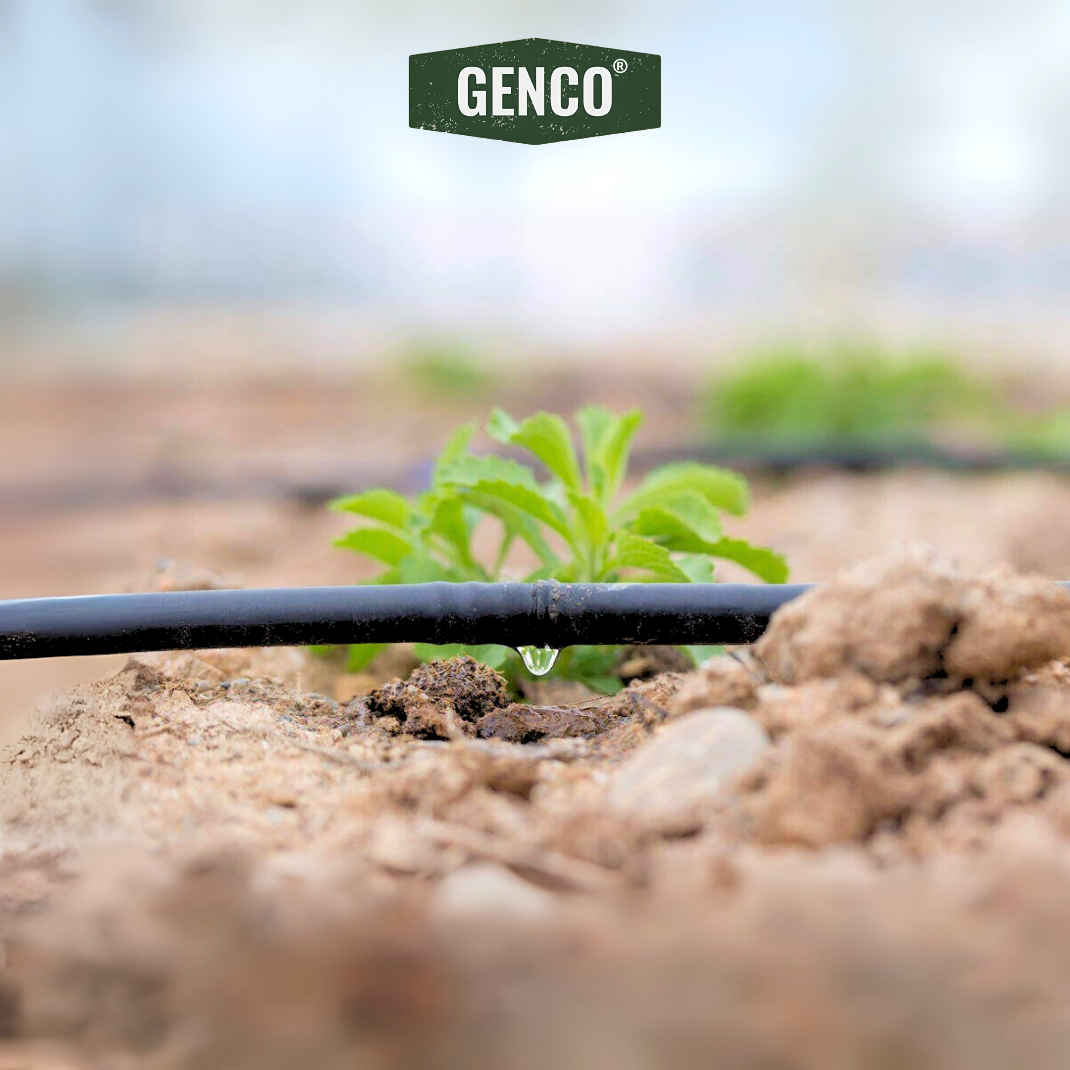 All-in-One Heavy-Duty Drip Irrigation Package - Imported